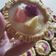 Cooksnap dari Naa Dii Naa untuk resep Pie buah cantik