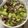 蔡文仁 的 簡單的清蒸肉鯽魚 cooksnap
