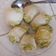 Cooksnap dari Galuh untuk resep Sawi Roll daging ayam dan sapi