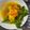 Cooksnap dari Nathali L untuk resep Sup Ayam Kuning (Soup ayam kunyit)