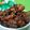 Cooksnap dari Fidi ArkaSyana untuk resep Chicken Wings Teriyaki