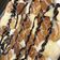 صورة من rana.f.Saber، شاركها بعد تجربة وصفة ميني بان كيك 🥞 mini pancakes