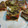 El cooksnap de Marcelo Figueroa cuando hizo Sándwich de brócoli.