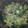 Janel Lindsay's cooksnap of when they made Ruby Tuesdays Broccoli salad.
