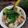 Cooksnap dari Kustinih Dariwan Quzz untuk resep Ciang mu ya,sup jahe dan daging bebek #taiwan food