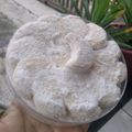 Cooksnap dari Misngah Warmono untuk resep Putri Salju Keju Lumer