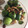 El cooksnap de Nuritmica.fit cuando hizo Coles de Bruselas con pasas y frutos secos/vegana.