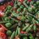 Cooksnap dari Dapur108 untuk resep Sambal Kencur Kacang Panjang + Leunca