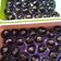 Cooksnap dari Selly Agustina untuk resep Kuker Chococrunch #BikinRamadanBerkesan