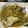 El cooksnap de Maribel Encabo cuando hizo Bacalao con Gambones y Almejas (Thermomix).