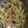 thakkarmansi's cooksnap of when they made પોટેટો ચિપ્સ (Potato Chips Recipe In Gujarati).
