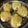 Zarna B V's cooksnap of when they made Sev puri.
