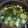 Cooksnap dari Agus Widianto untuk resep Sayur bayam bening (kunci)