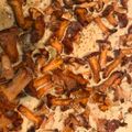 Lisa's cooksnap of when they made Pfifferlings-Soße.