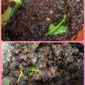 Cooksnap onik hazlin semasa beliau membuat Pes Ikan Bakar Kantan.