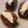 Mrs. Rashid's cooksnap of when they made Cream dates.