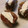 Mrs. Rashid's cooksnap of when they made Cream dates.