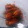 Cooksnap dari Tan Anzui untuk resep Ayam Goreng Balado