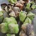 Cooksnap dari AyuPipit untuk resep Bolu Kukus Mekrok aka Bolkus Mekar