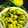 Dipti Paleja's cooksnap of when they made Vadhvani Green Chilli Pickle (Hari Mirch Ka Achar).