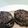El cooksnap de quesoy cuando hizo Morcilla de Burgos frita.