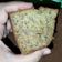 Cooksnap dari ida bunda danish untuk resep Cake Pisang