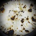 Twinkal Kalpesh Kabrawala's cooksnap of when they made તંદૂરી રોટી (Tandoori Roti recipe in Gujarati).