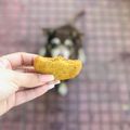 El cooksnap de Betzabel Castillo Subero cuando hizo Galletas de mantequilla de maní.