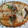 El cooksnap de yuli cuando hizo Bonito a la plancha.