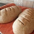 El cooksnap de Abi Saavedra Avendaño cuando hizo Pan integral.