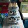 Cooksnap dari -Watie Hidayat- untuk resep Cupcakes coklat kukus