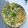 Cooksnap Jeehan Kitchen semasa beliau membuat Telur Dadar Taugeh Hijau (Chinese Style Eat Clean Healthy Green Sprout Frittata).