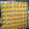 Cooksnap dari Aniesa Putri untuk resep Nastar Lembut Lumer di mulut