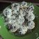 Cooksnap dari Ramadhania Hendharti untuk resep Kue Cubit Simple