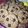 Cooksnap dari Annisa Nur Rahma untuk resep Cookies coklat milo