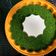 Cooksnap dari Nurendah A3 untuk resep Puding Lumut Hijau Daun Pandan