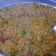 Ankur rathi का कुकस्नैप जब उन्होंने मसाला ओट्स (Masala Oats recipe in Hindi) बनाया था।