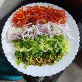 Sumanjli Meshi-Da-Dhaba का कुकस्नैप जब उन्होंने तिरंगा वेज सलाद(tiranga veg salad recipe in hindi) बनाया था।