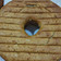 Cooksnap dari Tyas Utami untuk resep Bolu Pisang Panggang Anti Gagal