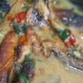 Cooksnap dari AmNa BLF untuk resep Tongkol bumbu kuning santan