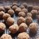 El cooksnap de paulyarias cuando hizo Laddu (Bocaditos Dulces).