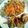 hollyroccxx's cooksnap of when they made Tuna noodle casserole.