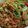 Cooksnap dari E.s.M untuk resep Mie goreng simple