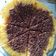 Cooksnap dari Emma Rahmawati untuk resep Martabak Manis Teflon