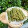 Bòn Bon 的 蕾絲蛋捲 cooksnap