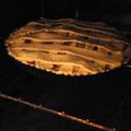 El cooksnap de Paz Lopez cuando hizo Kuchen de manzana fácil y rico.