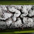 Cooksnap dari Jolie Indigo untuk resep Brownies kukus ny. liem