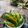 Beena Radia's cooksnap of when they made Green Chilli Pickle.