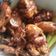 Cooksnap dari Tiamario untuk resep Ayam Kecap Pedas Bawang Bombay 