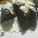 Cooksnap dari Berlian Soewandono untuk resep Brownies kukus 1 telur./cake coklat